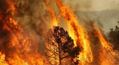 Campagna antincendio 2022. Informazioni su come proteggere le abitazioni dal rischio di incendio di vegetazione
