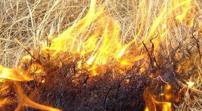 Posticipo della fine del periodo in cui vige lo "stato di elevato pericolo di incendio boschivo" al prossimo 7 novembre