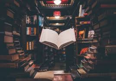 Contributi per acquisto libri destinato alle biblioteche di ente locale. legge regionale 18 settembre 2024, n. 13. annualit&agrave; 2024- DGR n. 41/18 del 23/10/2024