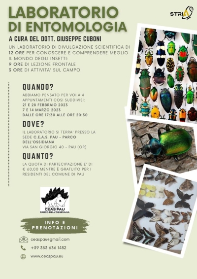 Laboratorio di entomologia organizzato dal CEAS Pau