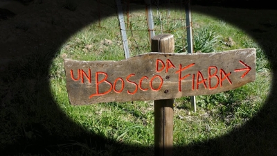 Avviso pubblico per l&rsquo;acquisizione delle manifestazioni di interesse per l&rsquo;affidamento diretto del servizio di gestione dell&rsquo;area ospitante il progetto &ldquo;Un Bosco da Fiaba&rdquo; periodo 01/04/2026-31/12/2026- Avviso rettifica ed errata corrige